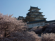 画像(180x135)・拡大画像(640x480)