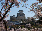 画像(180x135)・拡大画像(640x480)