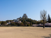 画像(180x135)・拡大画像(640x480)