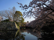 画像(180x135)・拡大画像(640x480)