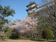 画像(180x135)・拡大画像(640x480)