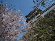 画像(180x135)・拡大画像(640x480)