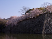 画像(180x135)・拡大画像(640x480)