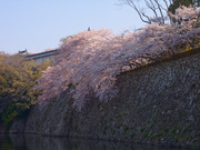 画像(180x135)・拡大画像(640x480)