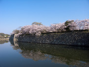 画像(180x135)・拡大画像(640x480)