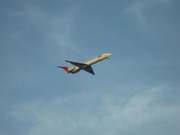 画像(180x135)・拡大画像(640x480)