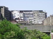 画像(180x135)・拡大画像(640x480)