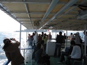 画像(180x135)・拡大画像(640x480)