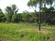 画像(180x135)・拡大画像(640x480)