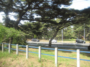 画像(180x135)・拡大画像(640x480)