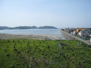 画像(180x135)・拡大画像(640x480)