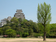 画像(180x135)・拡大画像(640x480)