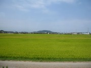 画像(180x135)・拡大画像(640x480)