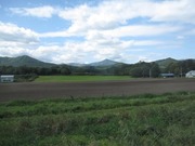 画像(180x135)・拡大画像(640x480)