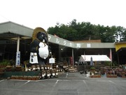 画像(180x135)・拡大画像(640x480)