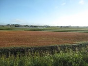 画像(180x135)・拡大画像(640x480)