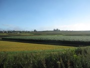 画像(180x135)・拡大画像(640x480)