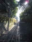 画像(135x180)・拡大画像(480x640)