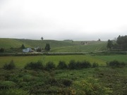 画像(180x135)・拡大画像(640x480)