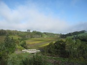 画像(180x135)・拡大画像(640x480)