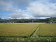 画像(180x135)・拡大画像(640x480)