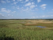 画像(180x135)・拡大画像(640x480)