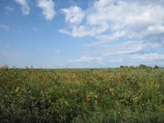 画像(180x135)・拡大画像(640x480)