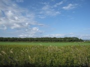 画像(180x135)・拡大画像(640x480)