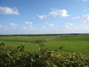 画像(180x135)・拡大画像(640x480)