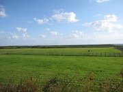 画像(180x135)・拡大画像(640x480)