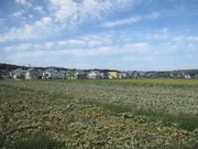 画像(180x135)・拡大画像(640x480)