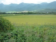 画像(180x135)・拡大画像(640x480)