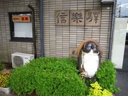 画像(180x135)・拡大画像(640x480)