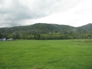 画像(180x135)・拡大画像(640x480)