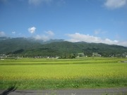 画像(180x135)・拡大画像(640x480)