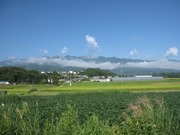 画像(180x135)・拡大画像(640x480)