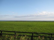 画像(180x135)・拡大画像(640x480)