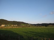 画像(180x135)・拡大画像(640x480)