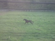 画像(180x135)・拡大画像(640x480)