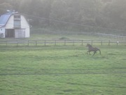 画像(180x135)・拡大画像(640x480)