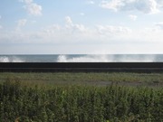 画像(180x135)・拡大画像(640x480)