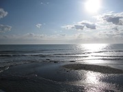 画像(180x135)・拡大画像(640x480)