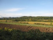 画像(180x135)・拡大画像(640x480)