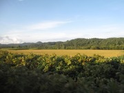 画像(180x135)・拡大画像(640x480)