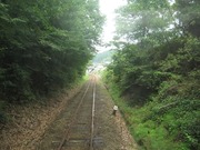 画像(180x135)・拡大画像(640x480)