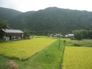 画像(180x135)・拡大画像(640x480)