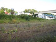 画像(180x135)・拡大画像(640x480)