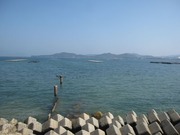 画像(180x135)・拡大画像(640x480)