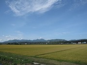 画像(180x135)・拡大画像(640x480)