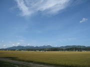 画像(180x135)・拡大画像(640x480)